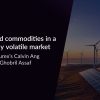 Energy and Commodities in a Structurally Volatile Market